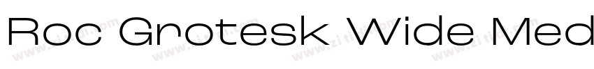 Roc Grotesk Wide Med字体转换